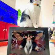 ヒメ日記 2026/02/15 14:44 投稿 ノア Club 妻