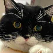 ヒメ日記 2026/03/05 11:11 投稿 ノア Club 妻