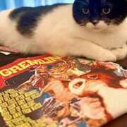 ヒメ日記 2026/03/08 11:35 投稿 ノア Club 妻