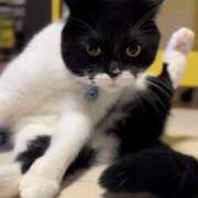 ヒメ日記 2026/03/12 11:45 投稿 ノア Club 妻