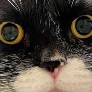 ヒメ日記 2026/03/12 14:25 投稿 ノア Club 妻