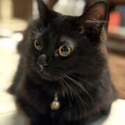 ヒメ日記 2026/03/17 11:17 投稿 ノア Club 妻