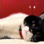 ヒメ日記 2026/03/18 11:27 投稿 ノア Club 妻