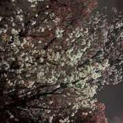 ヒメ日記 2026/03/24 11:25 投稿 ノア Club 妻