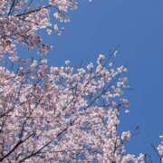 ヒメ日記 2026/03/27 11:13 投稿 ノア Club 妻