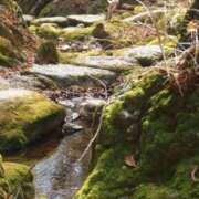 ヒメ日記 2026/04/01 11:15 投稿 ノア Club 妻