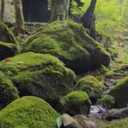 ヒメ日記 2026/04/05 14:34 投稿 ノア Club 妻