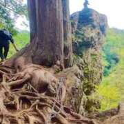 ヒメ日記 2026/04/06 14:17 投稿 ノア Club 妻