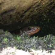 ヒメ日記 2026/04/09 10:57 投稿 ノア Club 妻