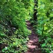 ノア 本日出勤(*･ω･)ﾉ Club 妻