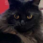 ヒメ日記 2026/04/16 11:26 投稿 ノア Club 妻