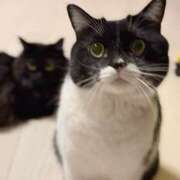 ヒメ日記 2026/04/17 10:54 投稿 ノア Club 妻