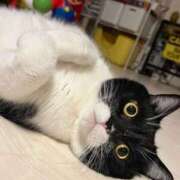 ヒメ日記 2026/04/30 11:27 投稿 ノア Club 妻