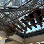 ヒメ日記 2025/01/05 16:25 投稿 さや 素人系イメージSOAP 彼女感 宇都宮本館