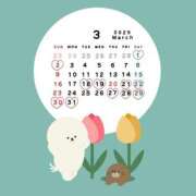 ヒメ日記 2025/03/01 23:55 投稿 さや 素人系イメージSOAP 彼女感 宇都宮本館