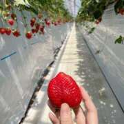 ヒメ日記 2025/04/06 23:05 投稿 さや 素人系イメージSOAP 彼女感 宇都宮本館