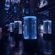 ヒメ日記 2025/06/17 23:15 投稿 さや 素人系イメージSOAP 彼女感 宇都宮本館