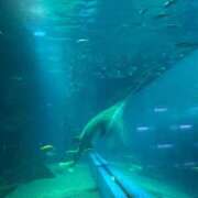 ヒメ日記 2025/06/18 16:35 投稿 さや 素人系イメージSOAP 彼女感 宇都宮本館