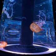 ヒメ日記 2025/06/18 19:55 投稿 さや 素人系イメージSOAP 彼女感 宇都宮本館