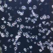 ヒメ日記 2025/06/30 19:55 投稿 さや 素人系イメージSOAP 彼女感 宇都宮本館