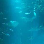 ヒメ日記 2025/06/30 22:55 投稿 さや 素人系イメージSOAP 彼女感 宇都宮本館