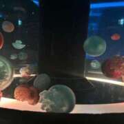 ヒメ日記 2025/07/01 00:05 投稿 さや 素人系イメージSOAP 彼女感 宇都宮本館