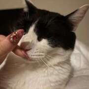 ヒメ日記 2025/07/03 20:53 投稿 さや 素人系イメージSOAP 彼女感 宇都宮本館