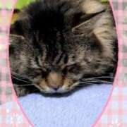 ヒメ日記 2025/03/29 01:32 投稿 ゆき タレント倶楽部Around40