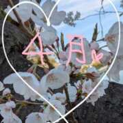 ヒメ日記 2025/04/01 08:04 投稿 ゆき タレント倶楽部Around40