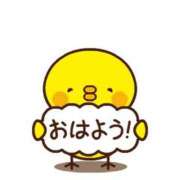 ヒメ日記 2025/04/16 07:38 投稿 ゆき タレント倶楽部Around40