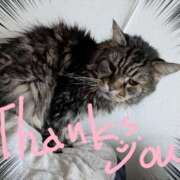 ヒメ日記 2025/10/25 08:44 投稿 ゆき タレント倶楽部Around40