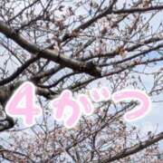 ヒメ日記 2026/04/01 07:10 投稿 ゆき タレント倶楽部Around40