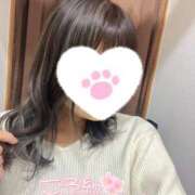 ヒメ日記 2025/04/01 14:43 投稿 一織(いおり) 人妻城 横浜本店