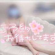 ヒメ日記 2026/04/29 11:09 投稿 一織(いおり) 人妻城 横浜本店