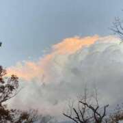 ヒメ日記 2025/10/01 16:33 投稿 なゆ 一力茶屋