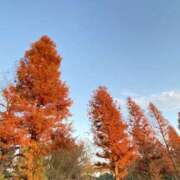 ヒメ日記 2025/12/03 22:33 投稿 なゆ 一力茶屋