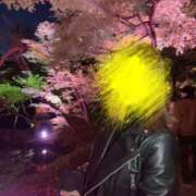 ヒメ日記 2025/06/12 17:34 投稿 希島ジュリ 青山ヴェルグ