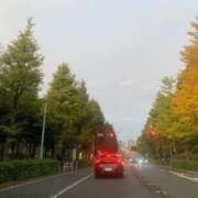 ヒメ日記 2025/11/12 14:24 投稿 希島ジュリ 青山ヴェルグ