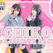ヒメ日記 2025/02/18 01:07 投稿 ゆん アロー