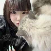 ヒメ日記 2025/05/23 12:03 投稿 ゆん アロー