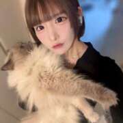 ヒメ日記 2025/06/24 04:05 投稿 ゆん アロー