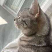 ヒメ日記 2025/07/14 18:02 投稿 ゆん アロー