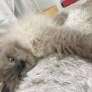 ヒメ日記 2025/07/22 11:11 投稿 ゆん アロー