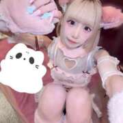 ヒメ日記 2025/12/11 18:37 投稿 ゆん アロー