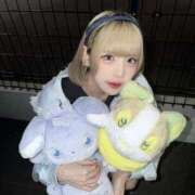 ヒメ日記 2026/03/26 02:03 投稿 ゆん アロー