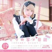 ヒメ日記 2026/04/06 02:55 投稿 ゆん アロー