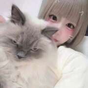 ヒメ日記 2026/05/20 12:04 投稿 ゆん アロー
