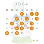 ヒメ日記 2026/08/24 21:28 投稿 ゆん アロー