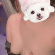 ヒメ日記 2025/03/21 10:04 投稿 涼宮はる イエスグループ熊本 華女