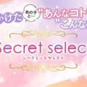 ヒメ日記 2023/09/18 02:14 投稿 茉莉紗（まりさ） Secret　select